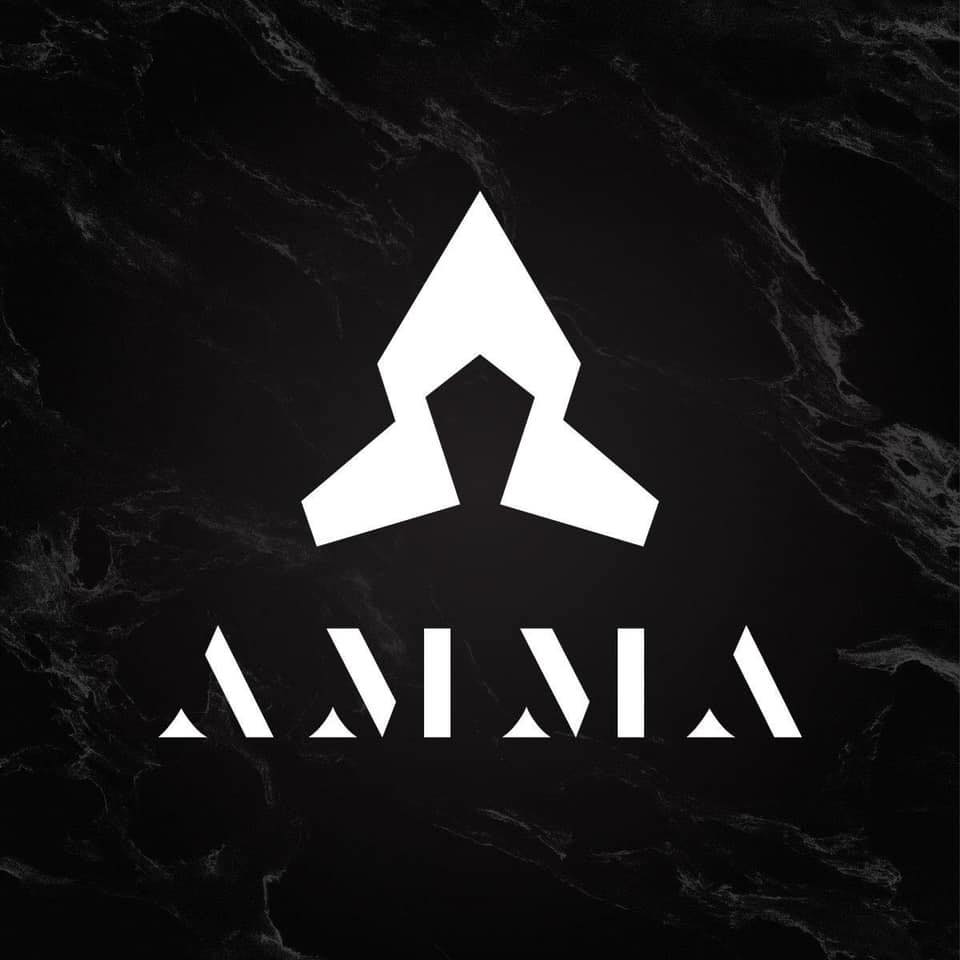 Logo de l'association AMMA
